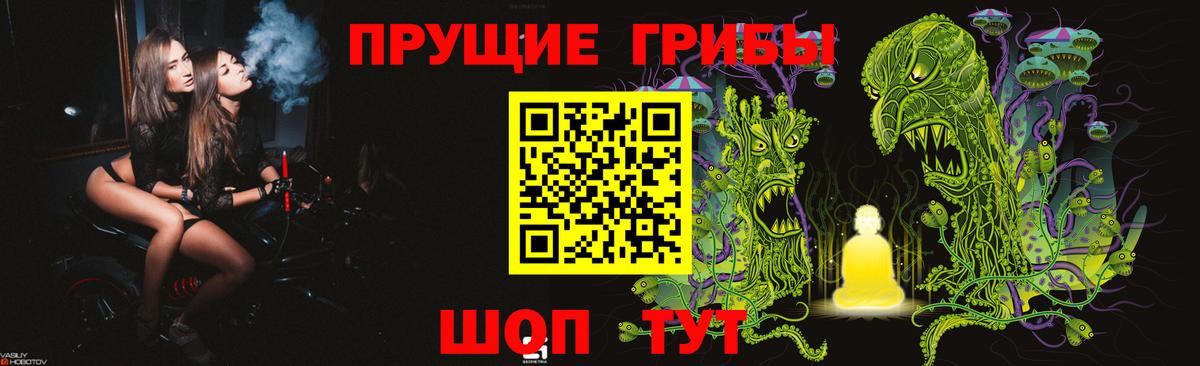 Королёв  Псилоцибиновые грибы мухоморы  Вход с VPN  Галлюциногенные грибы Magic Shrooms 